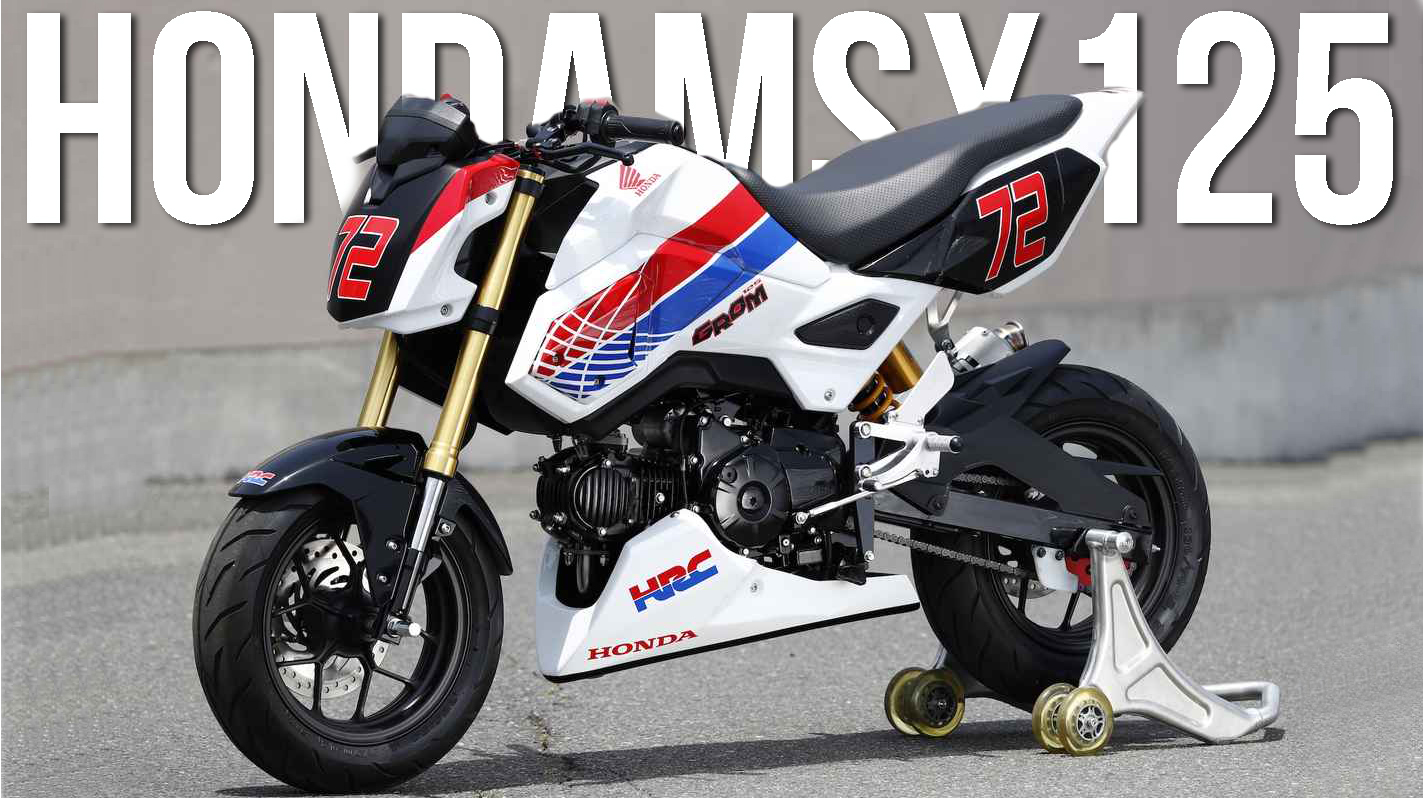Honda MSX125 – The Mini Street Fighter