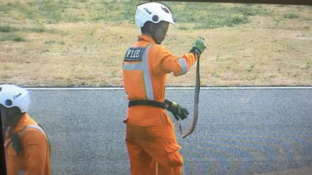 MotoGP: Último dia de testes em Buriram teve de parar para caça à serpente