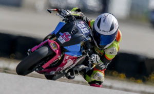 CNV 2020: Salão de Esponsende abre amanhã com Carlota Carochinho thumbnail