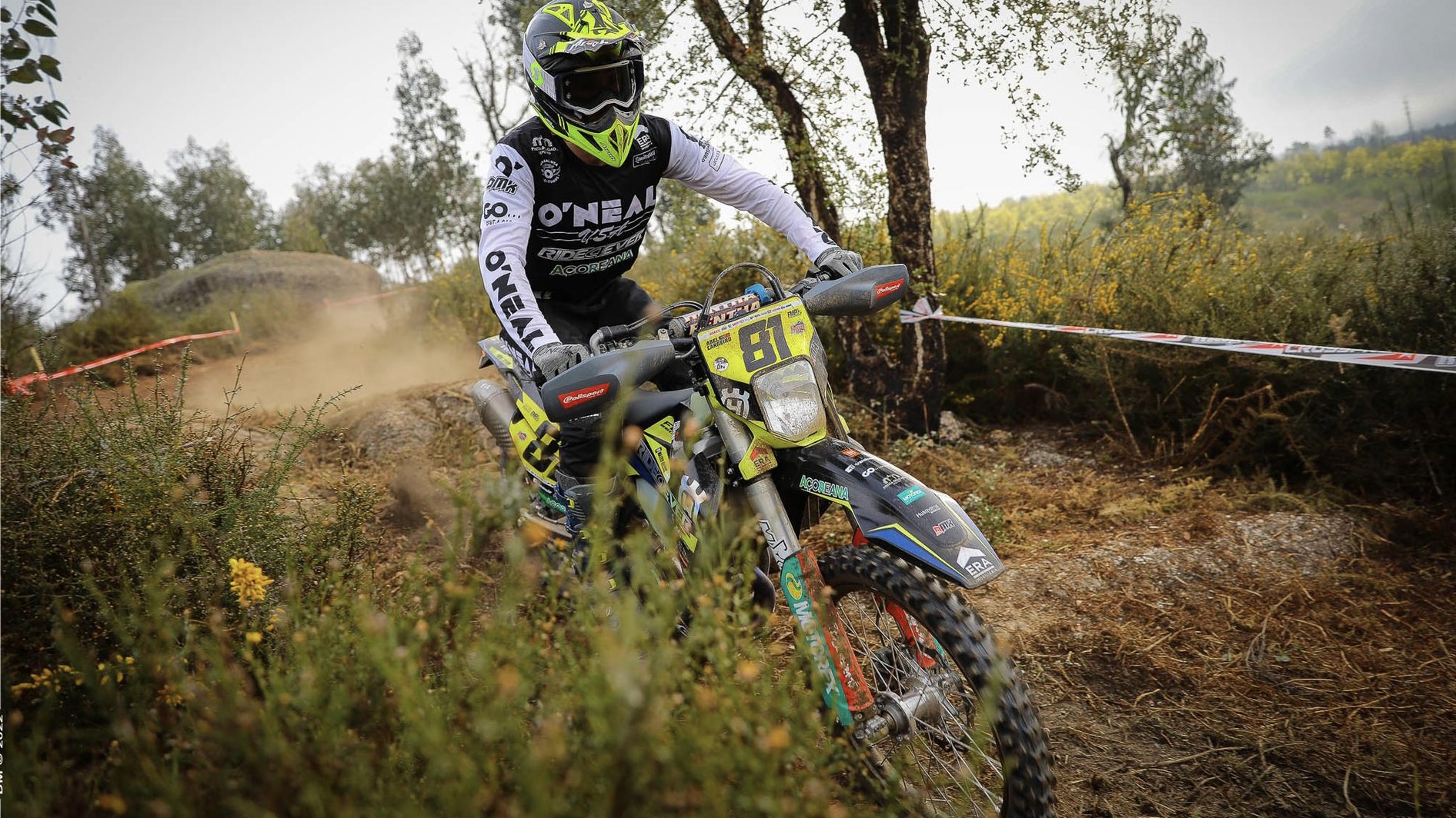 ISDE: Abel Carreiro substitui Luís Oliveira na seleção portuguesa