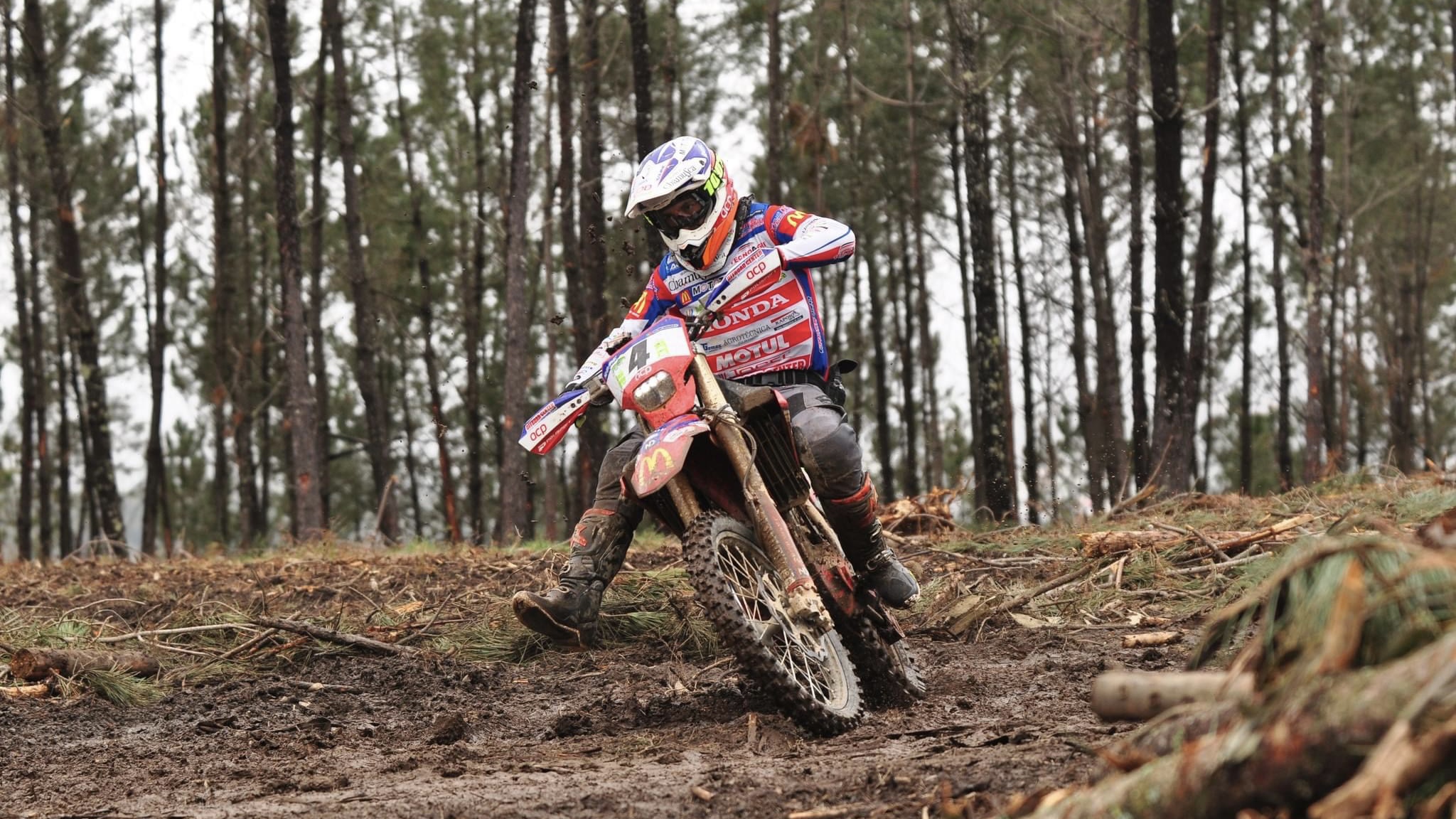 Vídeo CNTT, Raide Góis-Arganil: O resumo do 1.º dia