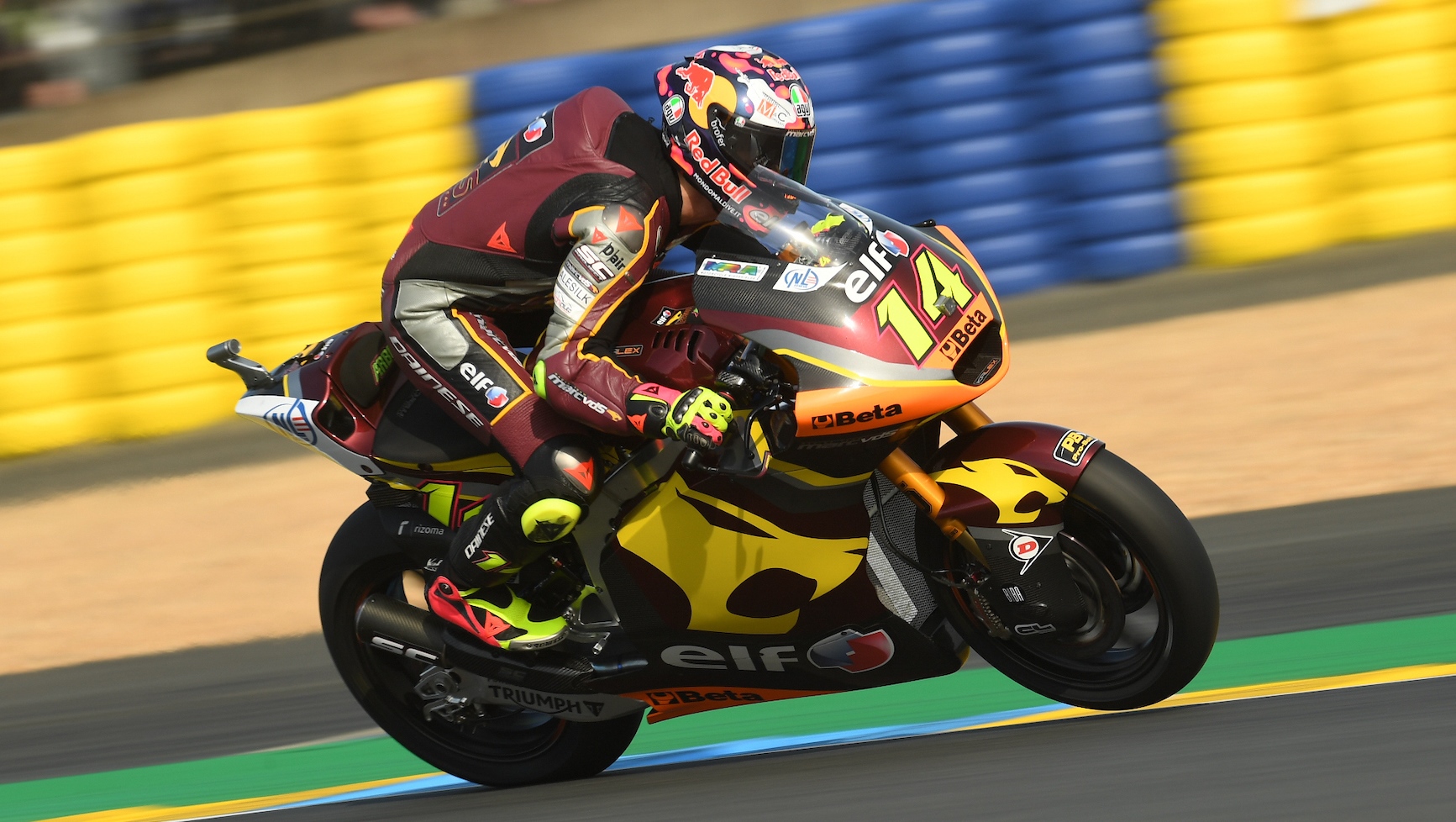 MotoGP XXX