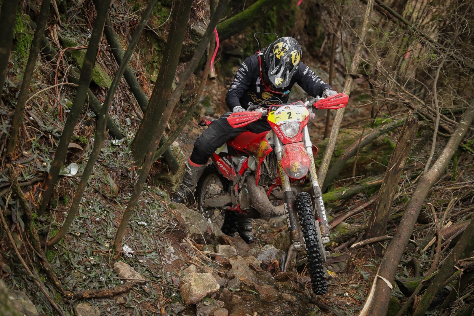 CN Hard Enduro, Lousada: Diogo Vieira campeão!