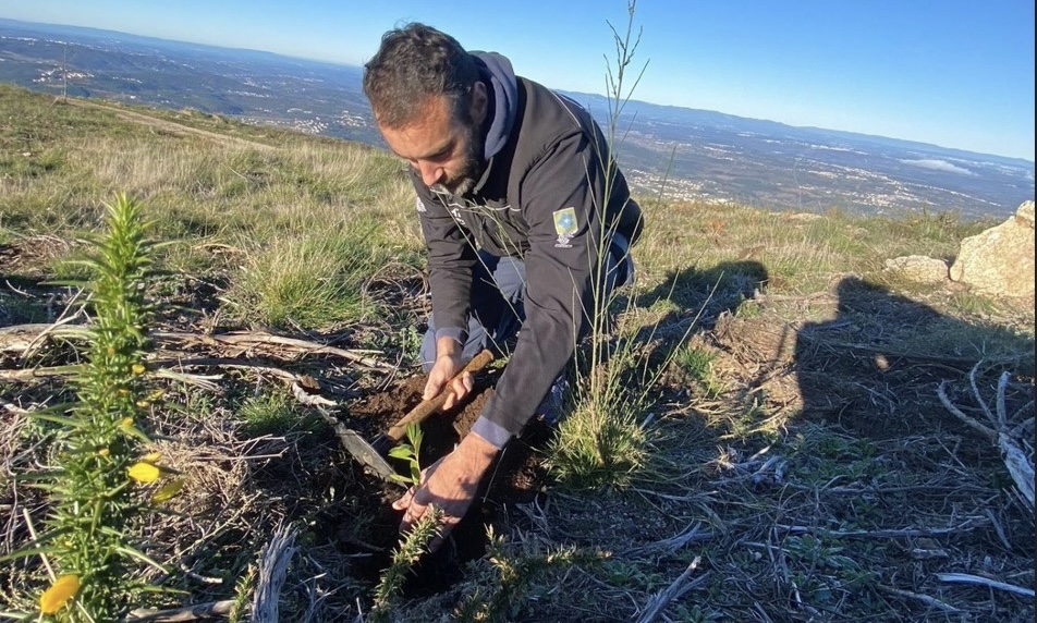 Rally, Dakar 2024: Mário Patrão em ação de reflorestação