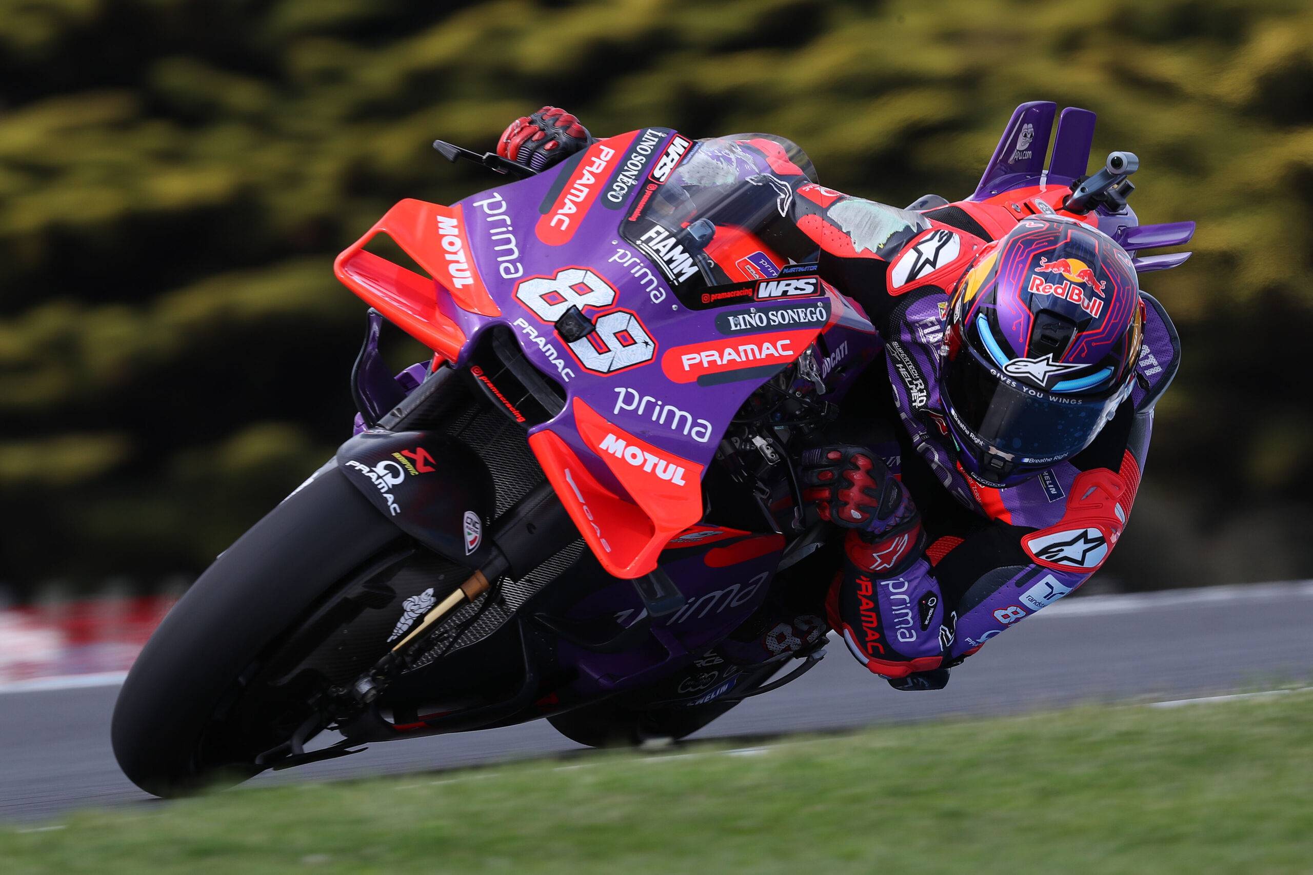 MotoGP, Austrália: Jorge Martin larga da pole em Phillip Island