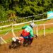 ISDE 2025 – dia 2: Os primeiros progressos