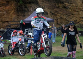 Trial: Comissão de Trial começa atividades a 11 de Janeiro