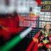 WSBK: Álvaro Bautista chega a Donington mais forte após recuperação impressionante