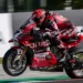 WSBK: Lecuona repete liderança em Cremona no FP2 e Ducati coloca quatro motos no top 5