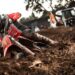 CN Motocross: Gerard Congost torna-se campeão nacional de motocross no traçado de Granho